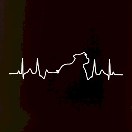 Stafordšírsky bulteriér ‎ EKG