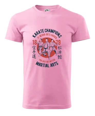 Karate Champions