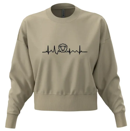 Ekg ovce