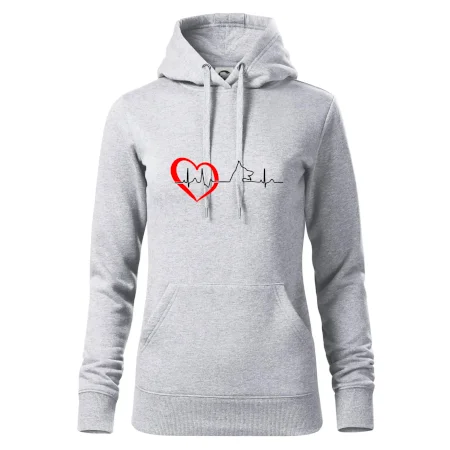 Nemecký ovčiak ekg