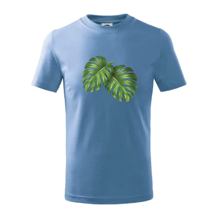 Monstera - dva listy