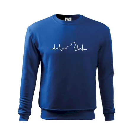 Stafordšírsky bulteriér ‎ EKG