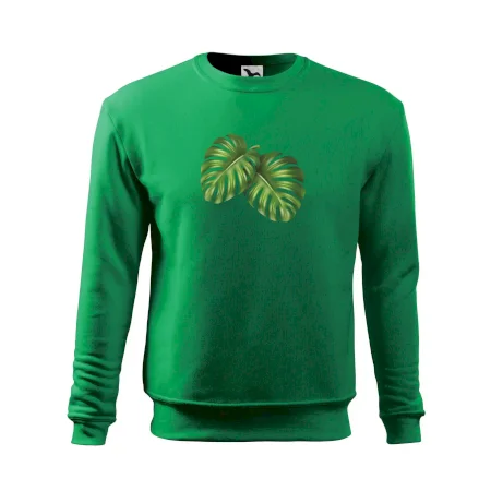 Monstera - dva listy