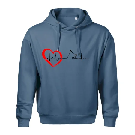 Nemecký ovčiak ekg
