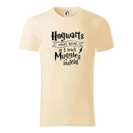 Harry - Hogwarts wasn’t hiring, so I teach Muggles instead