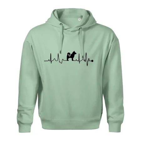 Shiba-Inu EKG