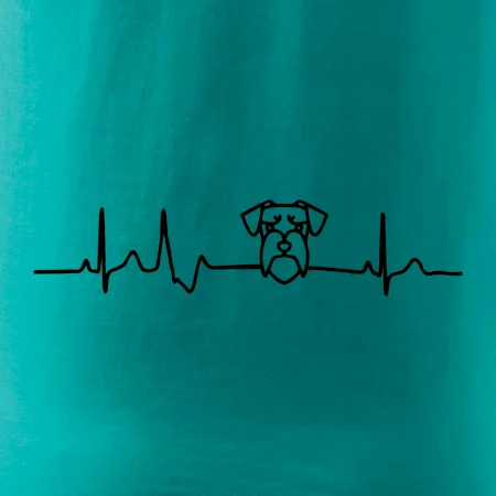 Ekg bradáč hlava