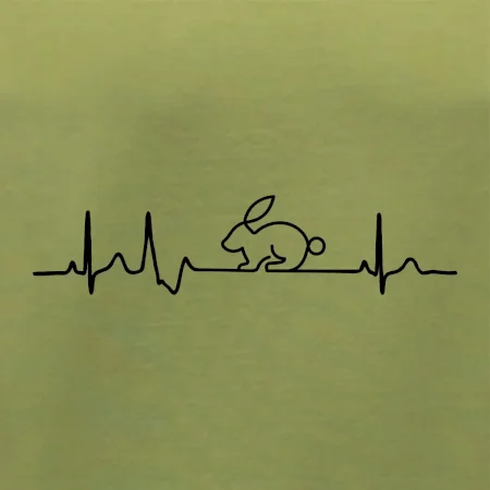 EKG králik