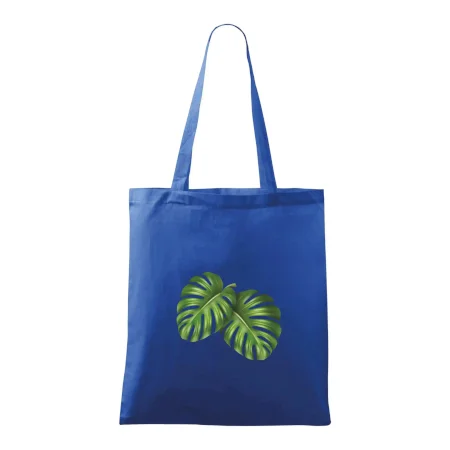 Monstera - dva listy