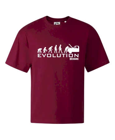 Evolúcia mechanik