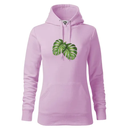 Monstera - dva listy