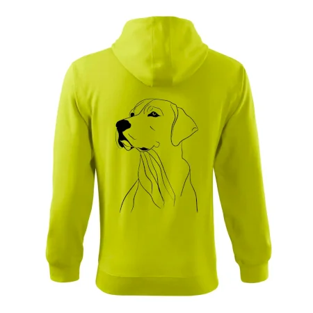 Labrador čierna kresba