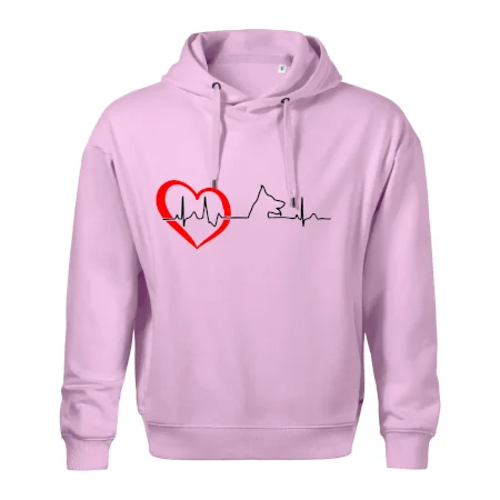 Nemecký ovčiak ekg