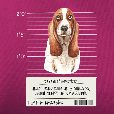 Baset - lump a darebák  