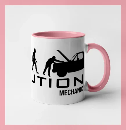 Evolúcia mechanik