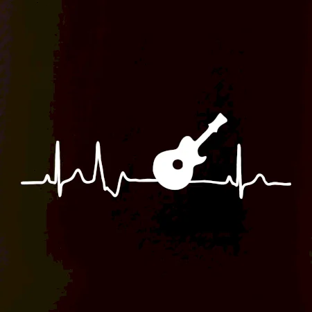 EKG akustická gitara