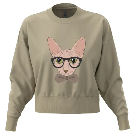 Hipster sphynx