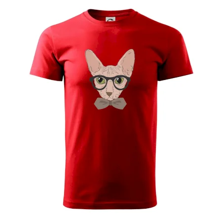 Hipster sphynx