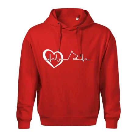 Nemecký ovčiak ekg