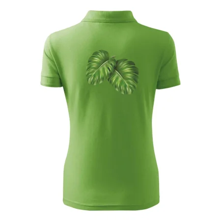 Monstera - dva listy
