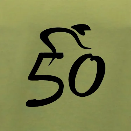 Cyklista oslavuje päťdesiatku (50)