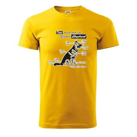 Nemecký ovčiak - Anatómia