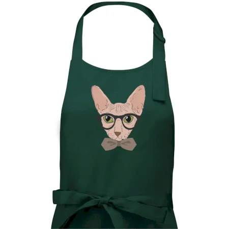 Hipster sphynx