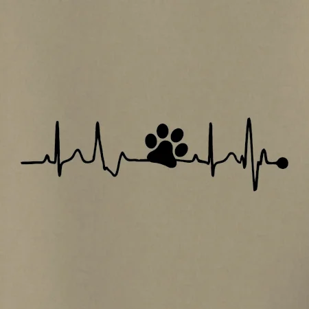 Ekg psia labka