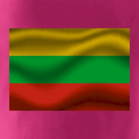 Litva vlajka obdĺžnik