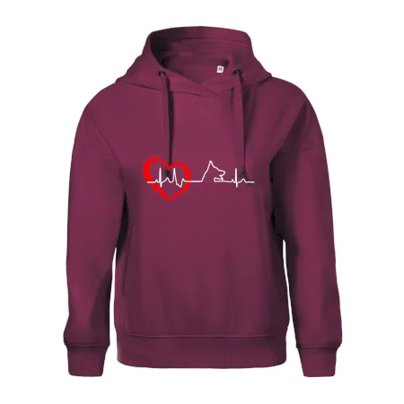 Nemecký ovčiak ekg