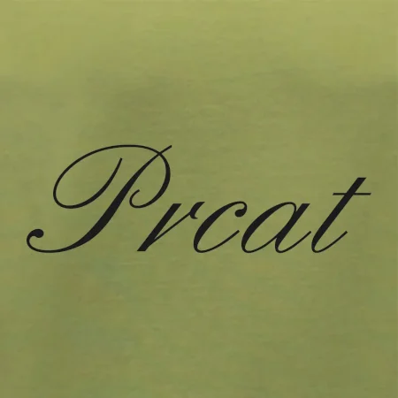 Prcat (súložiť vulgárne)