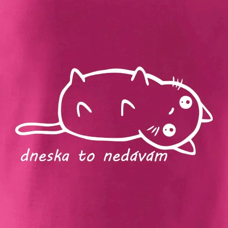 Dnes to nedávam