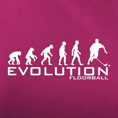 Evolúcia Floorball