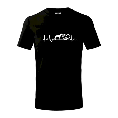 Chrt - Ekg