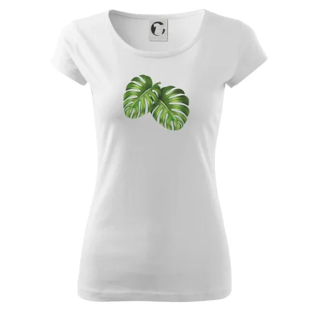 Monstera - dva listy