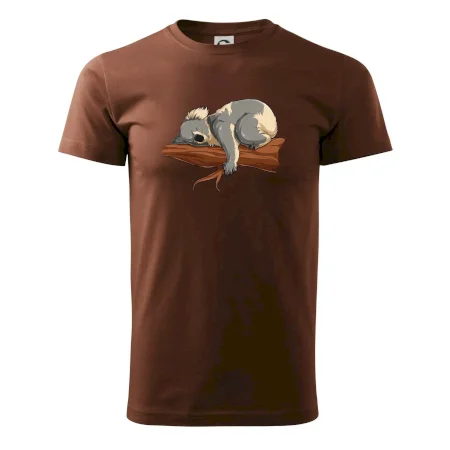 Koala na vetve