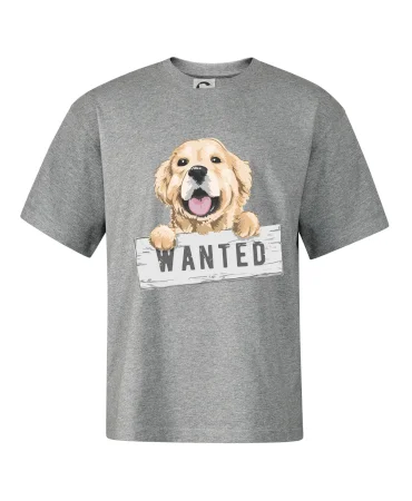Zlatý retriever - šteniatko wanted