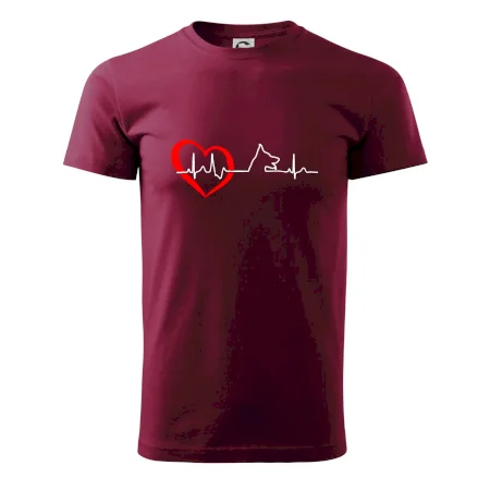 Nemecký ovčiak ekg