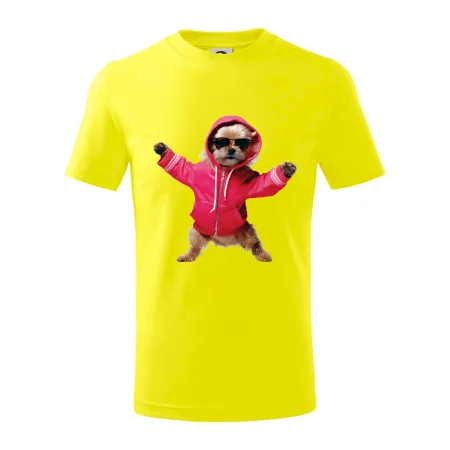 Yorkšír v mikine