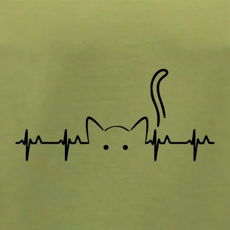 Mačka EKG