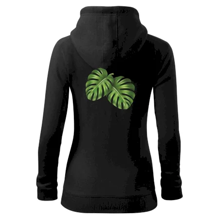 Monstera - dva listy