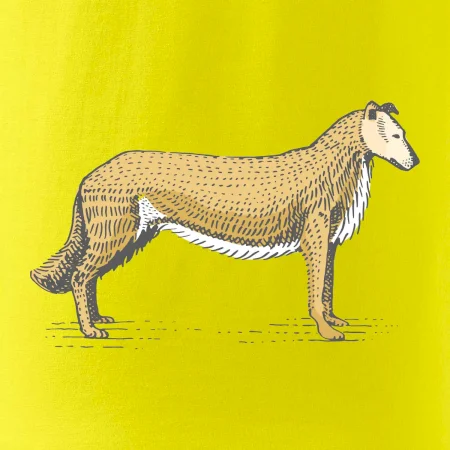 Vintage Collie