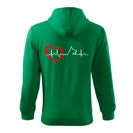 Nemecký ovčiak ekg