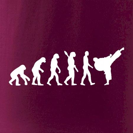 Karate Evolúcia - kop