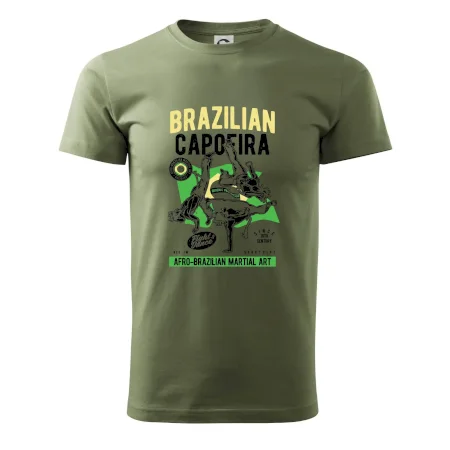 Brazilian Capoeira