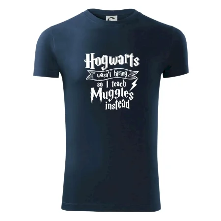Harry - Hogwarts wasn’t hiring, so I teach Muggles instead