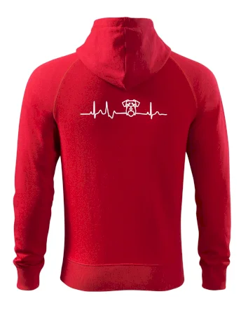 Ekg bradáč hlava