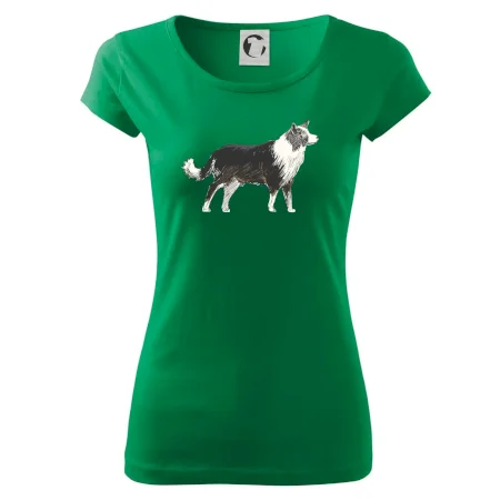 Border kólia kreslená