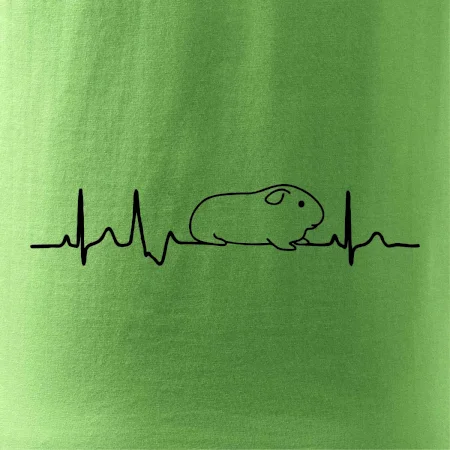 EKG morča