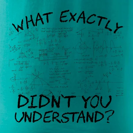 What exactly didn't you understand - physics